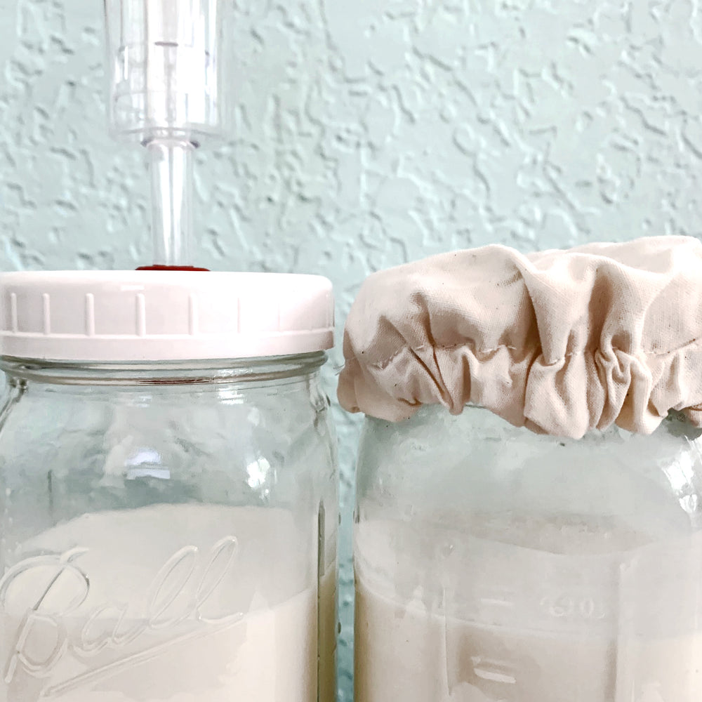 Open or Closed Lid for Milk Kefir Fermenting?