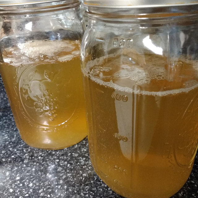 Fizzy water kefir