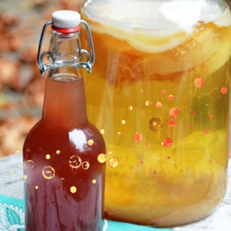 Does Homemade Kombucha have probiotics?