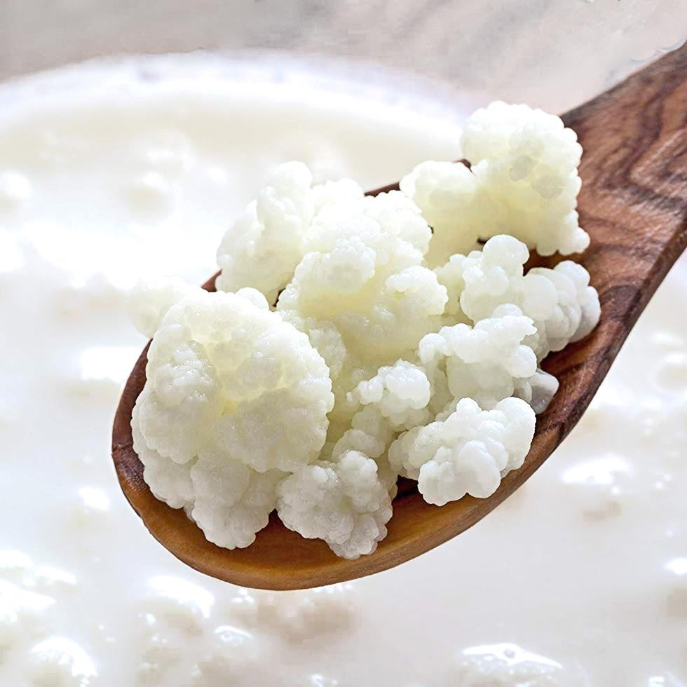 What is the optimal ratio of milk kefir grains to milk?