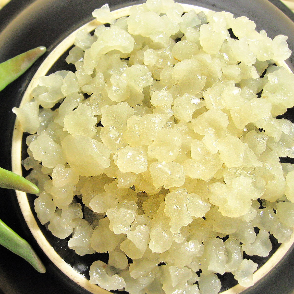 Wholesale Genuine Live Water Kefir Grains - Yemoos Nourishing Cultures