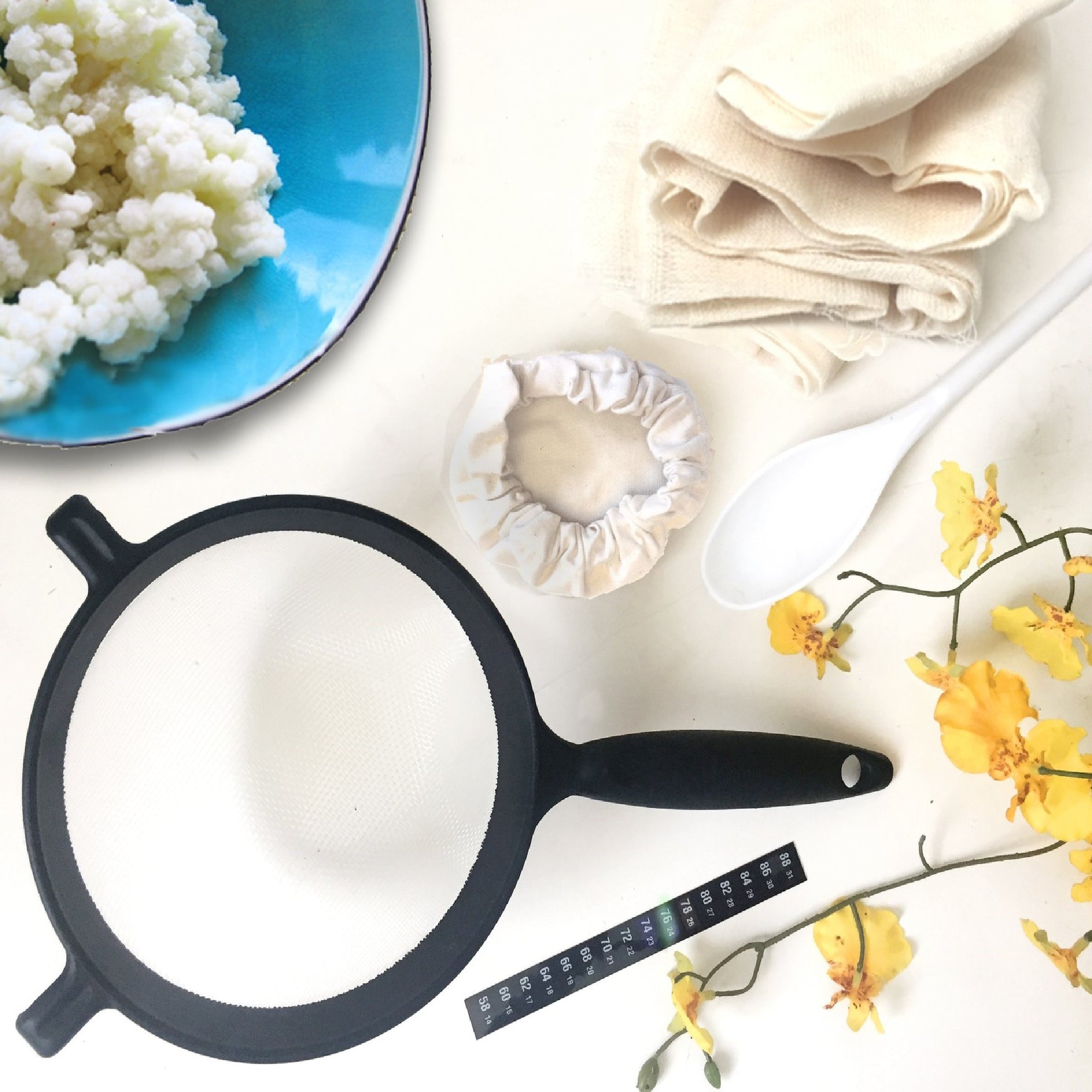 Deluxe Live Milk Kefir Grains KIT - Yemoos Nourishing Cultures