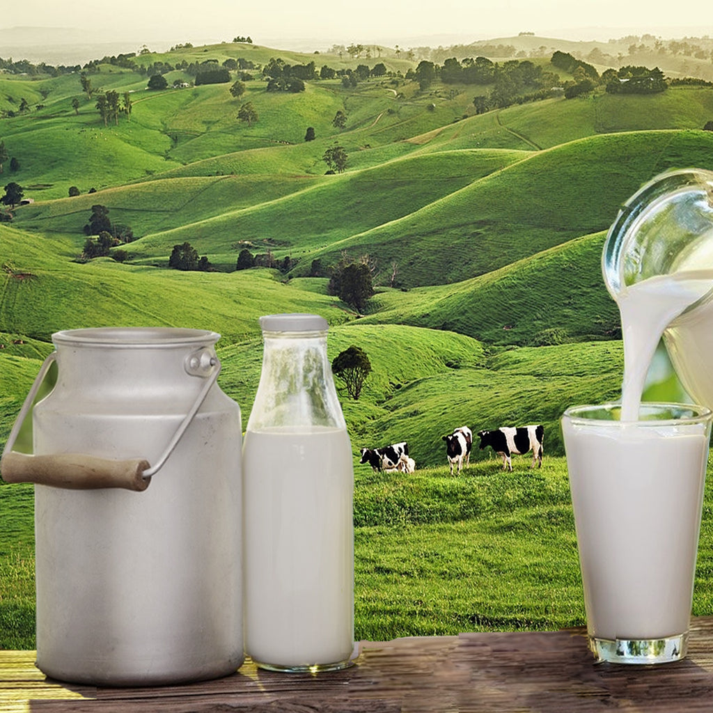 Raw milk kefir grass-fed benefits