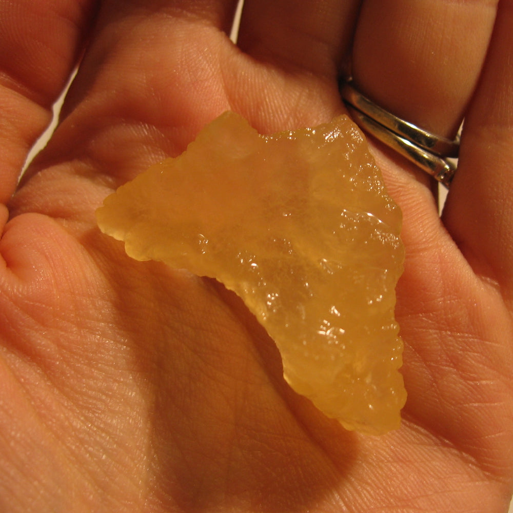 Large water kefir grains in hand