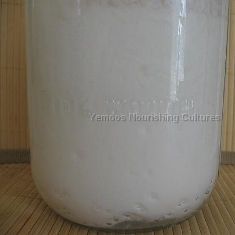 Bacteria rich kefir in a jar