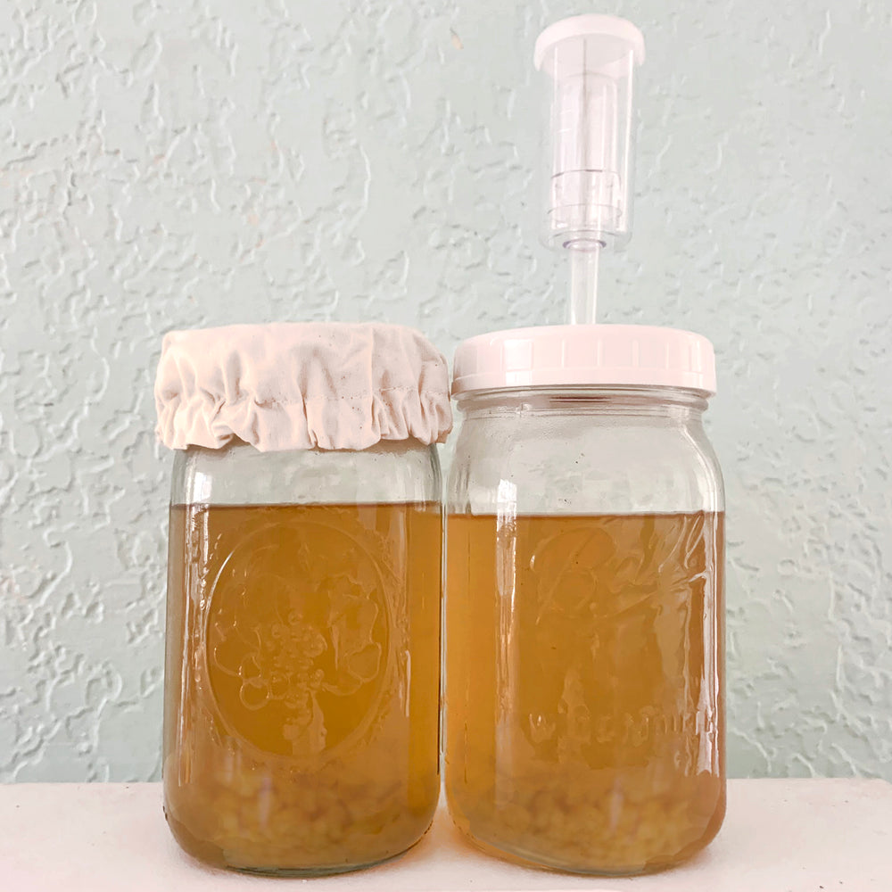 Open or Closed Lid for Water Kefir Fermenting?