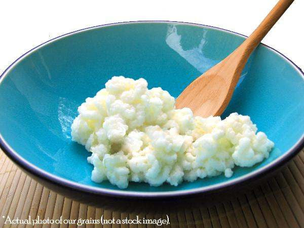 Milk Kefir Grains