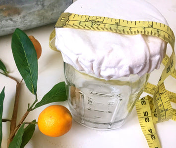Elastic Cloth Jar Cover - Yemoos Nourishing Cultures