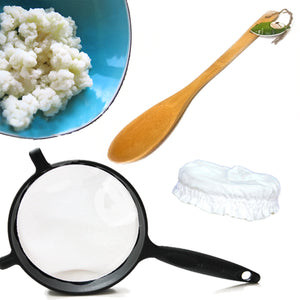 Basic Live Milk Kefir Grains KIT - Yemoos Nourishing Cultures