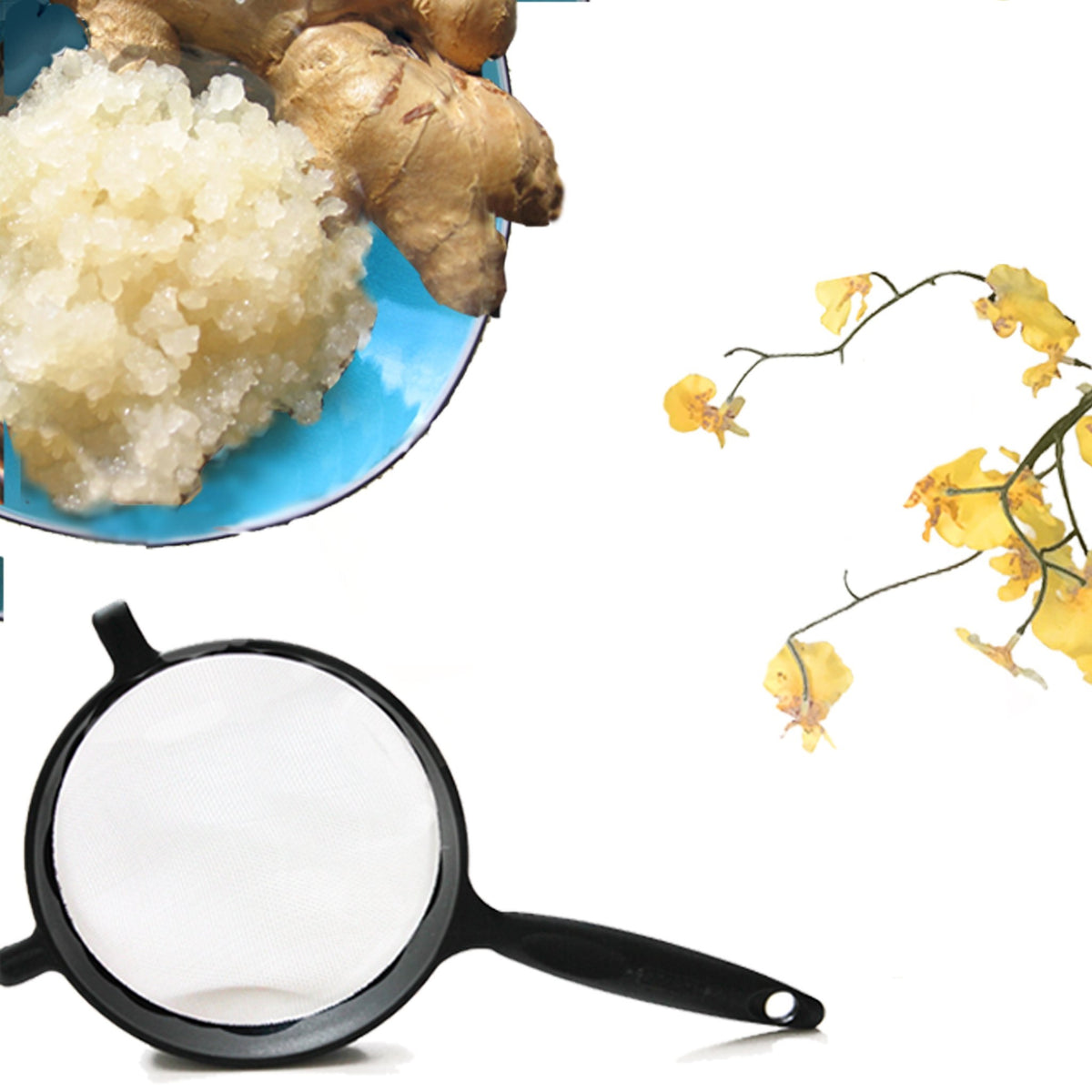 Live Ginger Beer Plant + Strainer set - Yemoos Nourishing Cultures