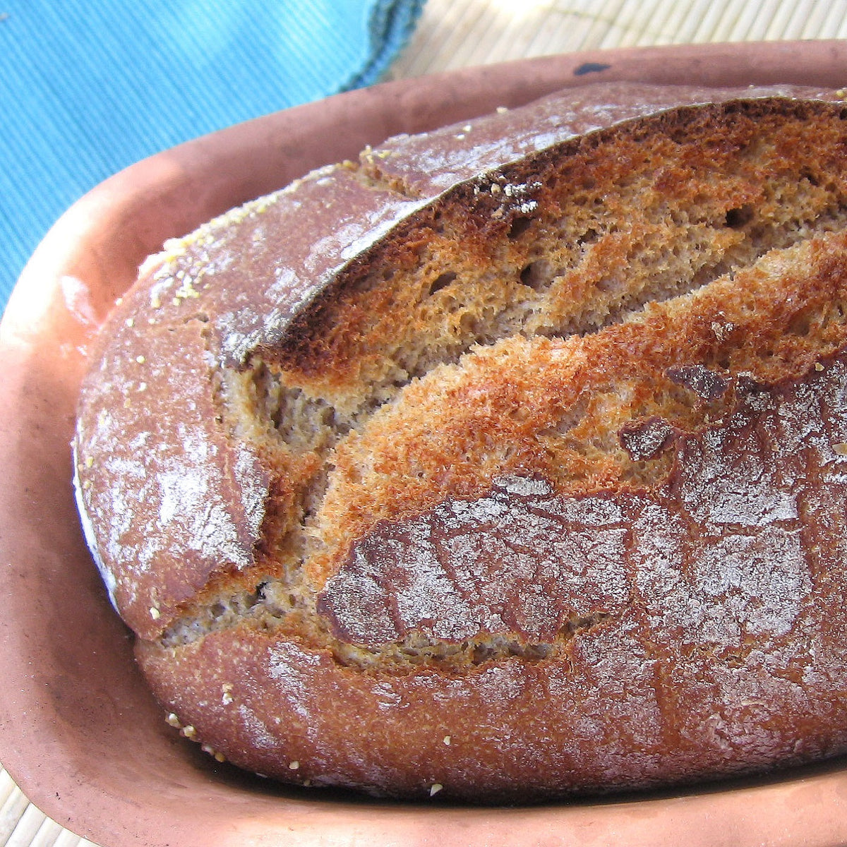 San Francisco Sourdough Starter: DRIED - Yemoos Nourishing Cultures