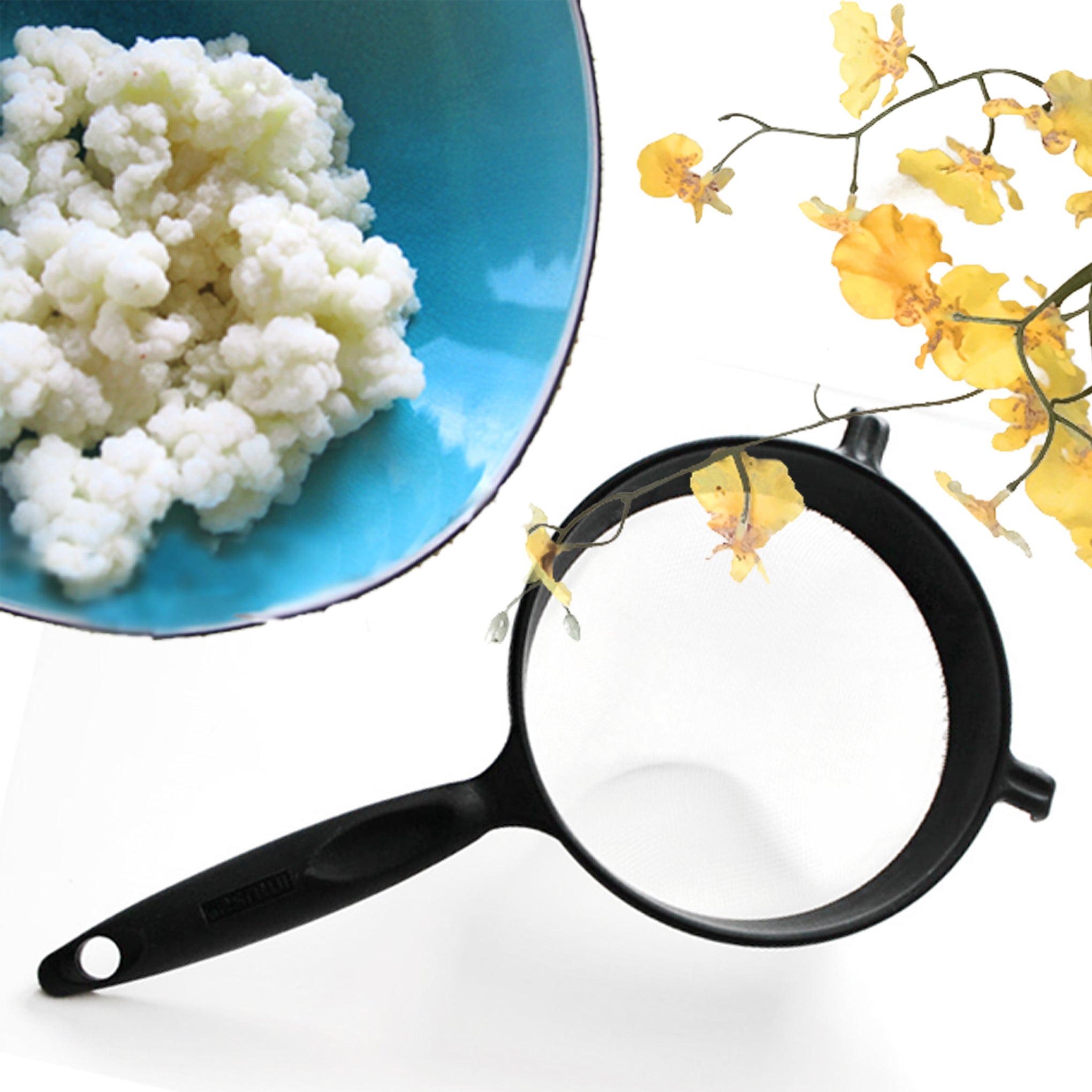 Milk Kefir Grains Yemoos Nourishing Cultures