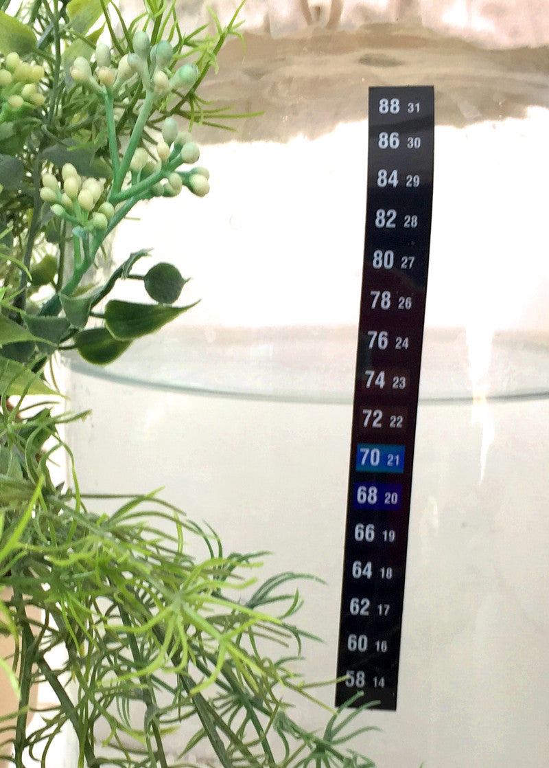 Adhesive Culturing Jar Thermometer - Yemoos Nourishing Cultures